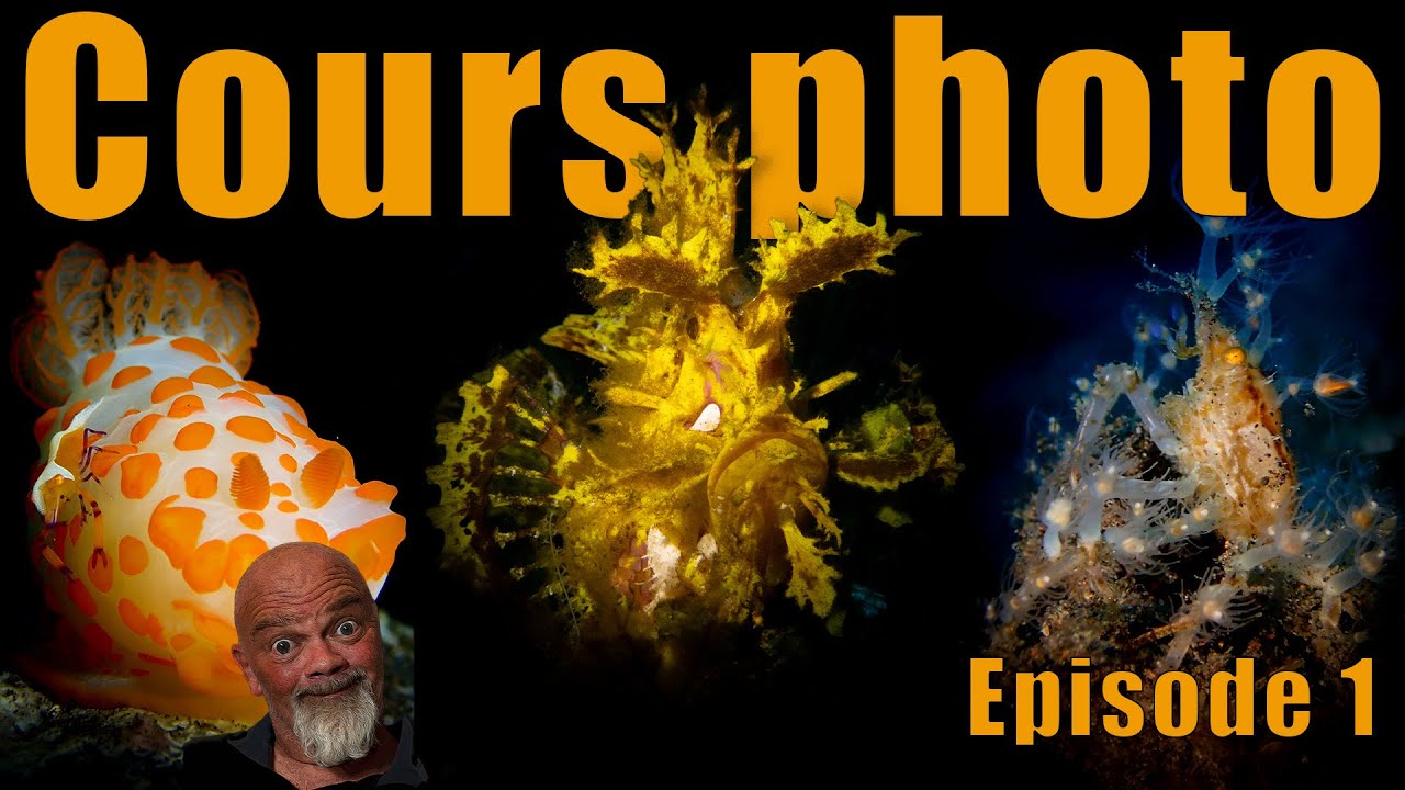 Cours de photo sous-marine avec Ploufdiving Bali ET Clément / 1ere partie