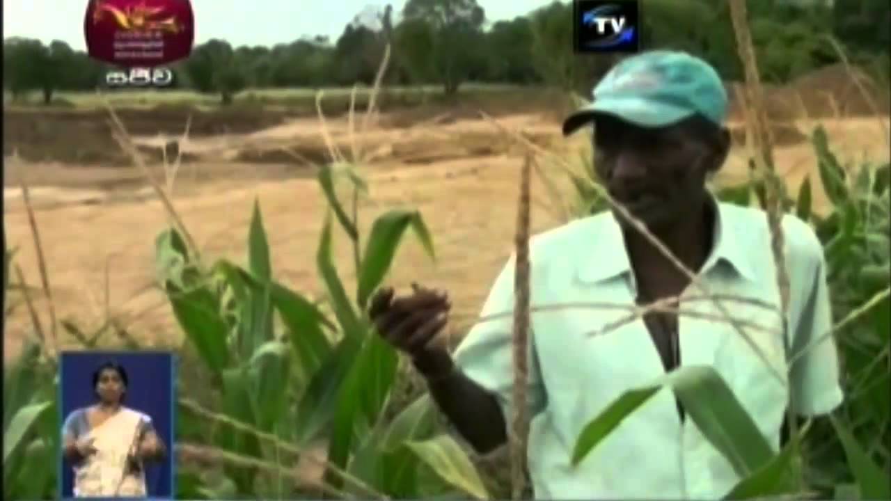 Ridimaliyadda Janatha Virodaya