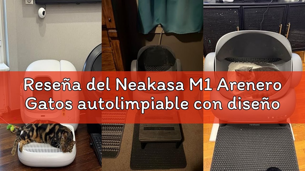 Reseña del Neakasa M1 Arenero Gatos autolimpiable con diseño Abierto, Capacidad XXL, Control por App