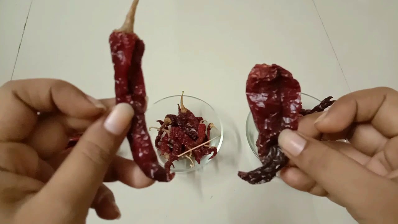 Difference between Lavangi, Bedgi, Kashmiri Mirchi