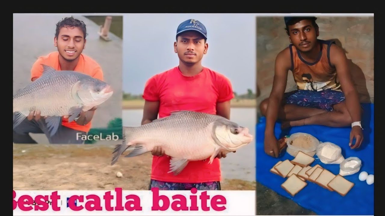 August 15, 2024best catla fishing bite