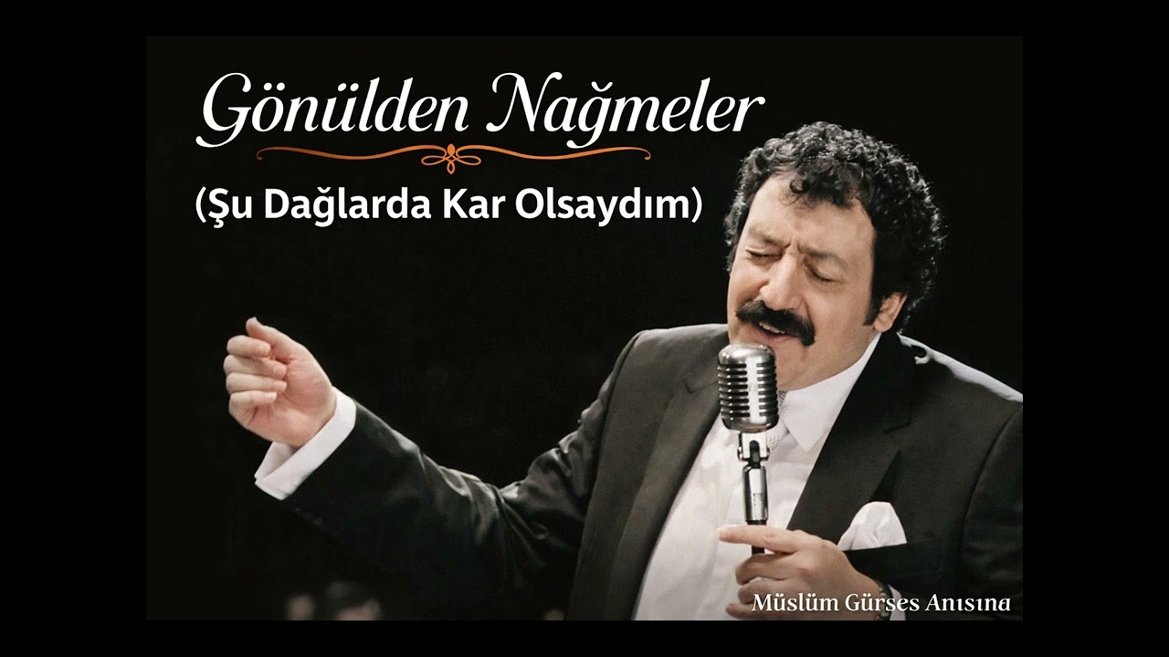 Şu Dağlarda Kar Olsaydım Olsaydım (Cover)
