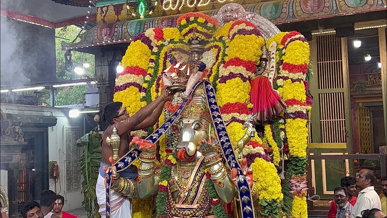 Mylapore Arulmigu Velleeswarar Temple Vaikasi Brahmotsavam Day 3 Adhikara Nandhi vaahana sevai 🔥🔥
