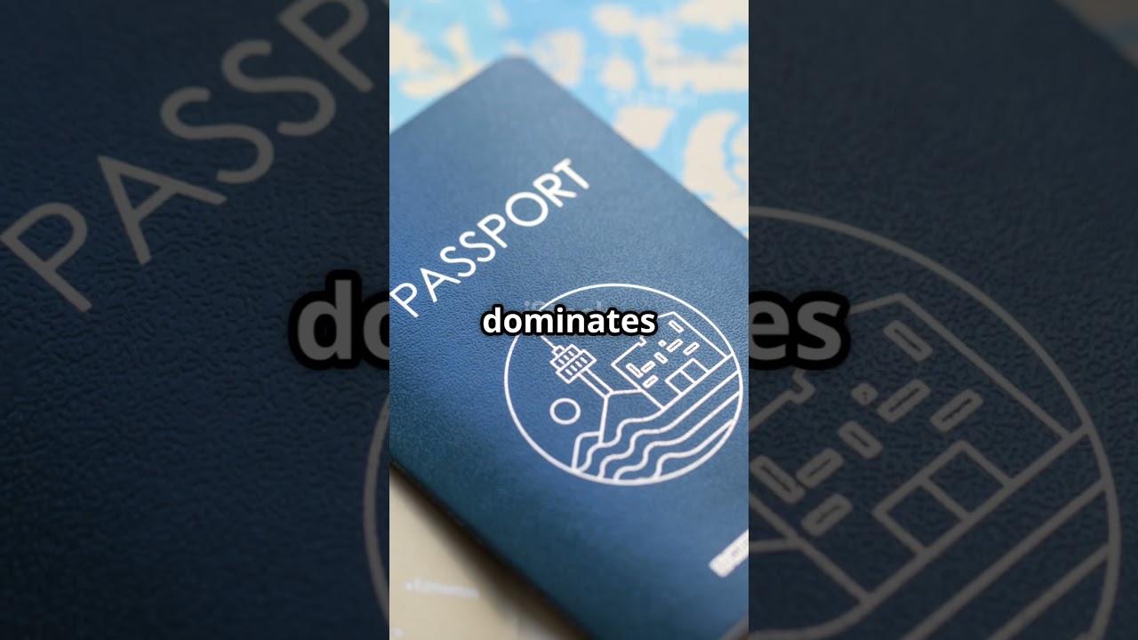 Why are passports only in 4 colors?