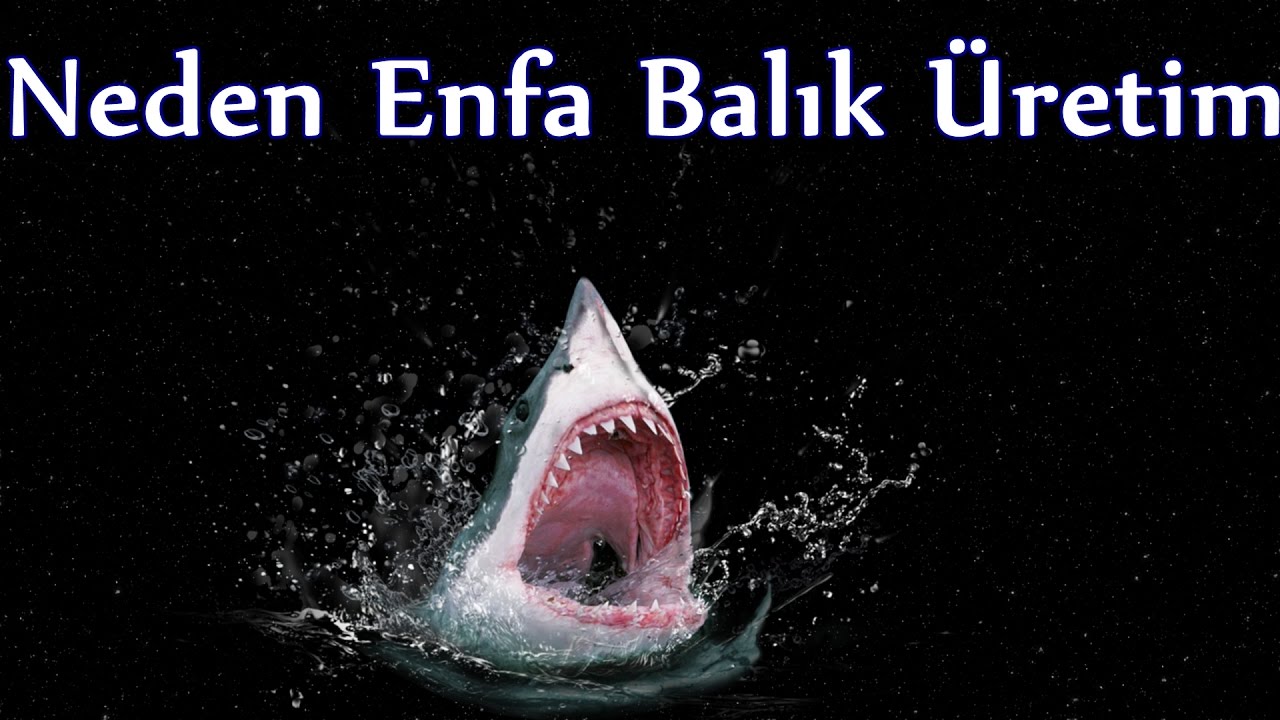 Enfa Balık &Uuml;retim Ziyaret Edenler #1
