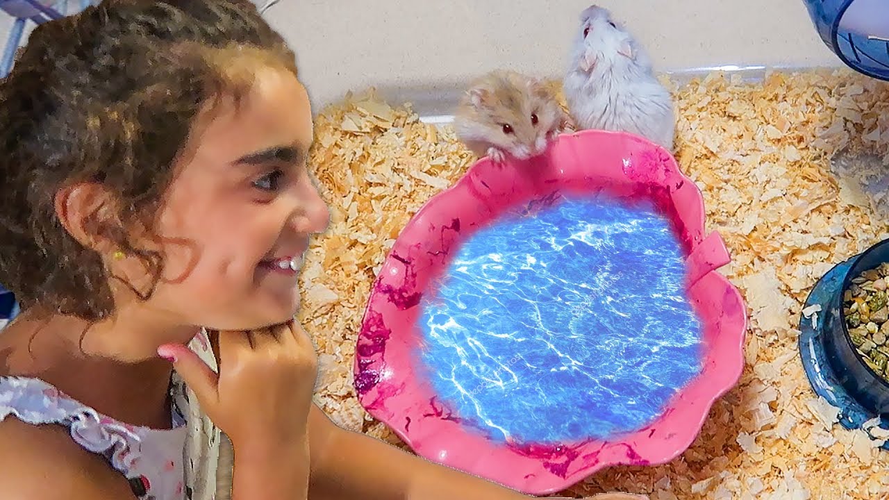 VANİLYA VE FINDIK İÇİN HAVUZ ( Hamster Evi ve Bakımı )