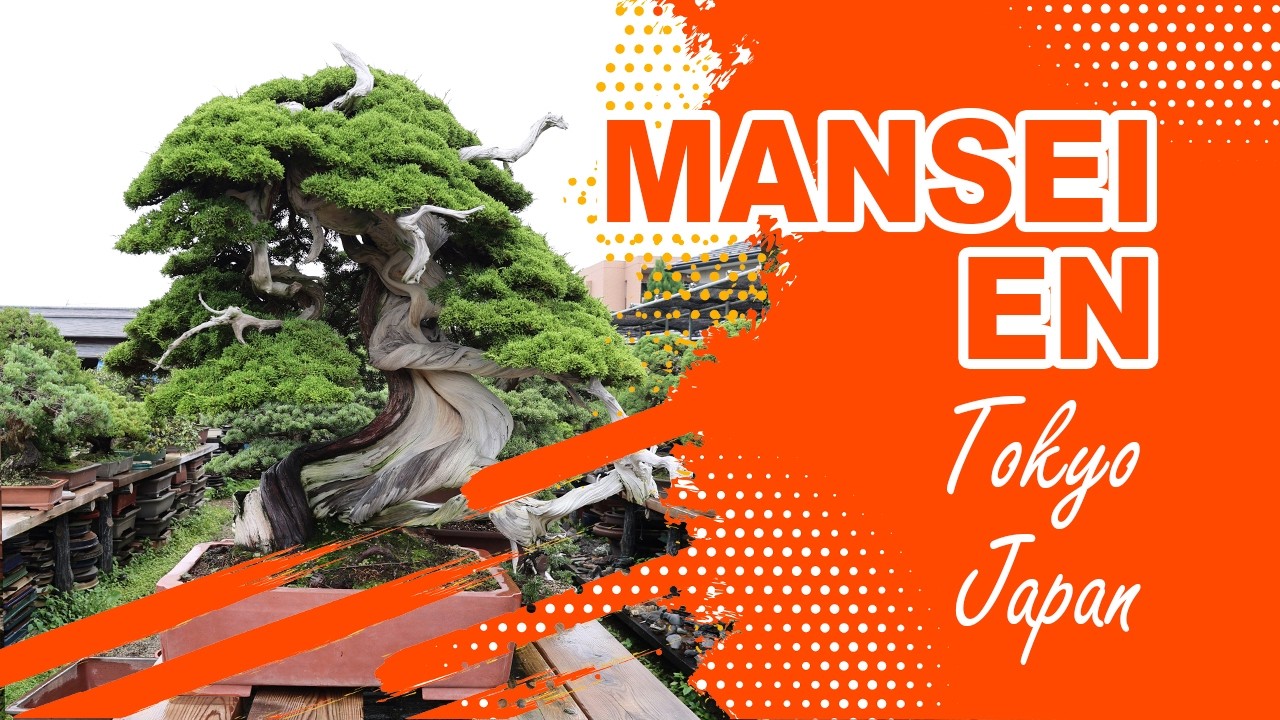 MANSEI-EN 蔓青園