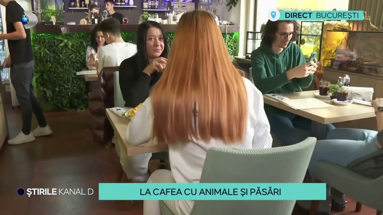 ZooCafé Bucuresti la KanalD! | ZooCafé Bucharest |