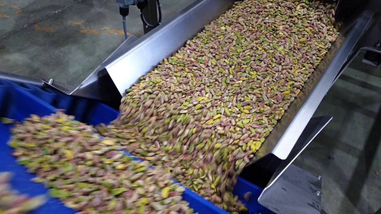 Pistachio Pre Paste Machine