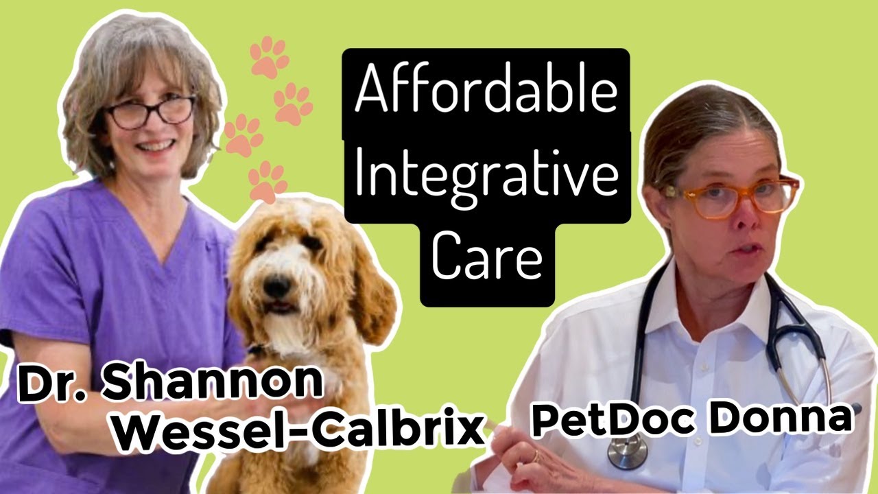 Podcast with Dr. Shannon Wessel-Calbrix, DVM CVA, CVFT, CCRV