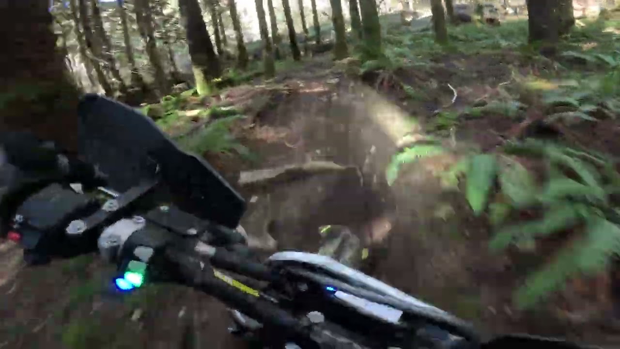Triumph TF250E back on the trails. 