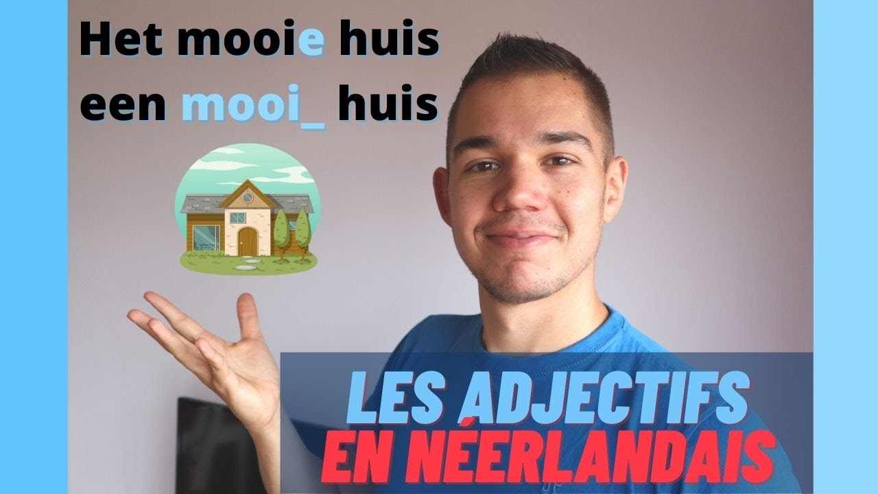 Décliner les adjectifs en néerlandais 😏 Apprendre le néerlandais facilement !