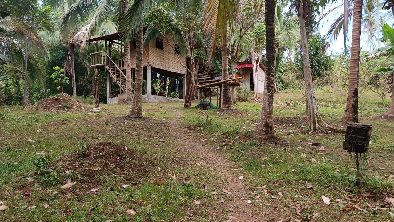 (P# 979) 4,200 sqms Farm Lot na tabi ng kalsada sa Nagcarlan, Laguna for sale @ 5 Million price