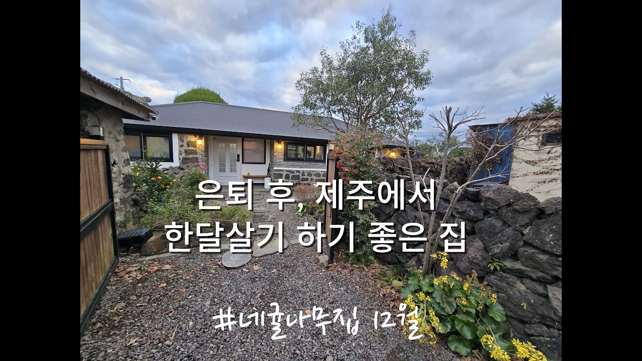 은퇴 후, 겨울 제주에서 한달살기 하기 좋은 집｜12월 초 독채 숙소