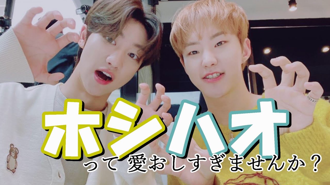 [セブチ]愛おしさが爆発【ホシハオ】の沼の入口こちらです→【ハオホシ】HOSHI][THE8] SEVENTEEN／세븐틴