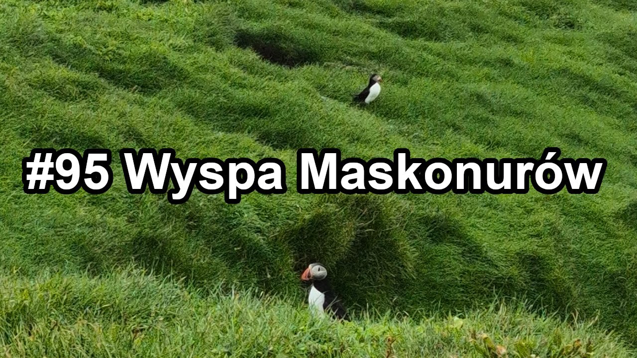 #95 Maskonury i stolica Wysp Owczych - Torshavn -  - 🇫🇴 - Vlog #3