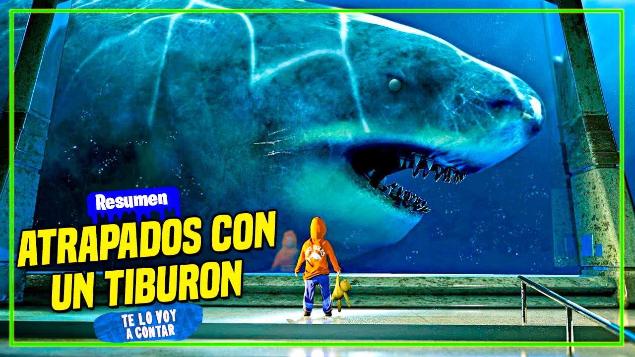 DIOS ENVÍA TIBURONES GIGANTES PARA ACABAR CON LA HUMANIDAD | RESUMEN