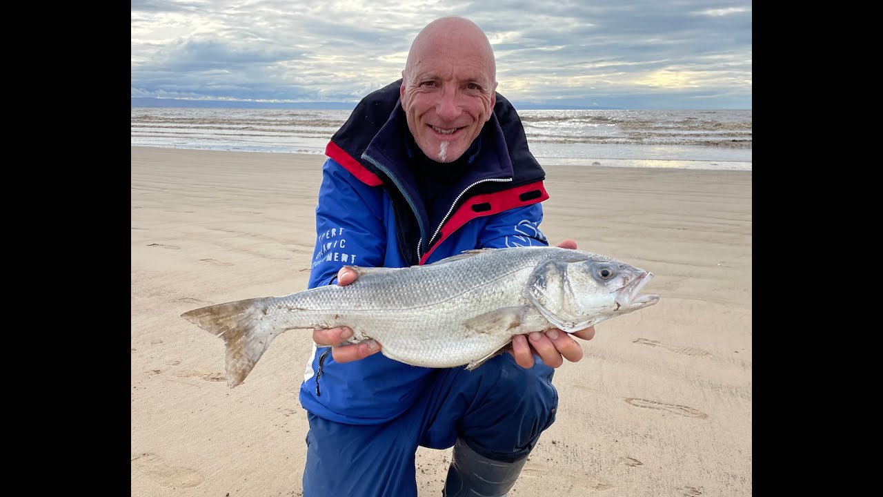 Bass Bonanza @ Brean Beach  Sea Fishing The Bristol Channel Shore  Spring 2021