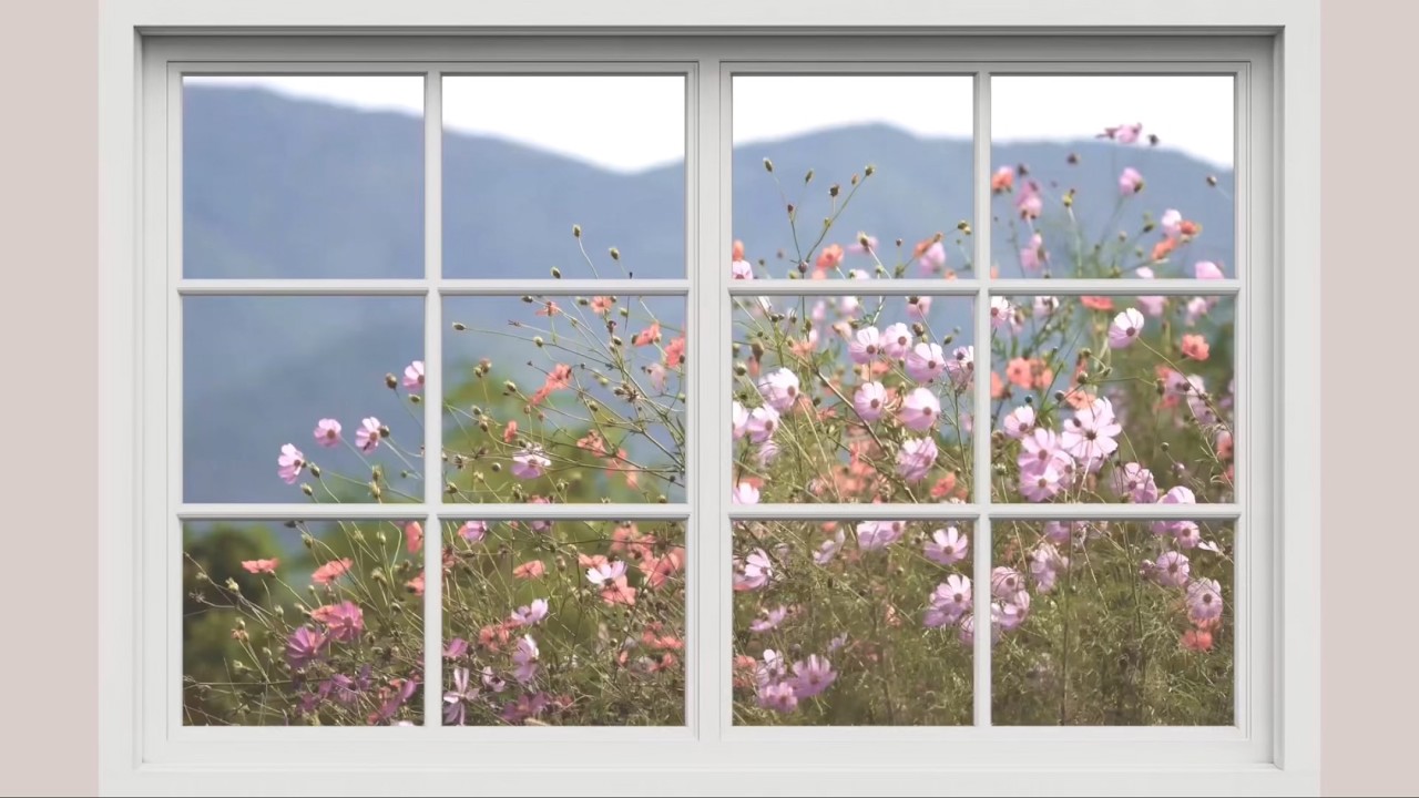 Pastel window aesthetic – soft pink flower field ambience