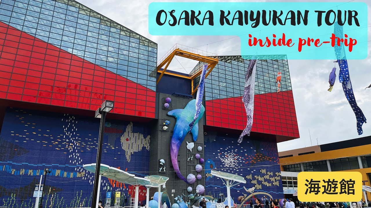 Osaka Aquarium Kaiyukan tour（大阪 海遊館）