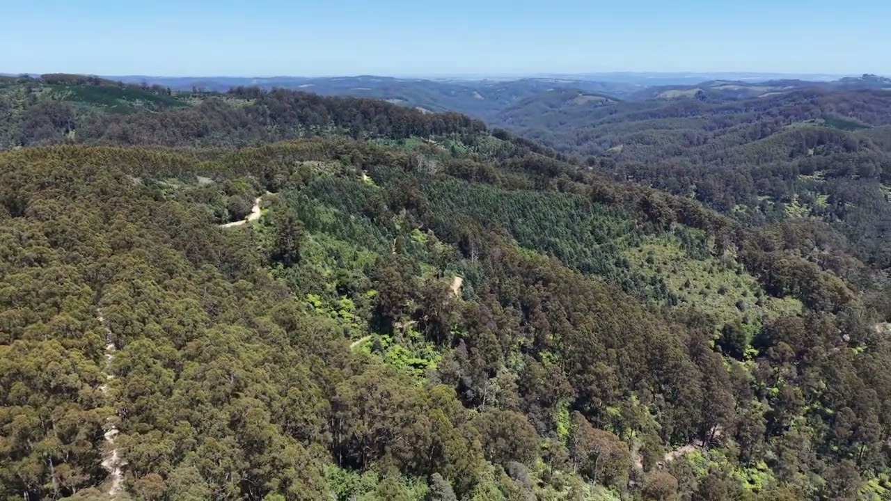 Tara-Bulga Valley VIC