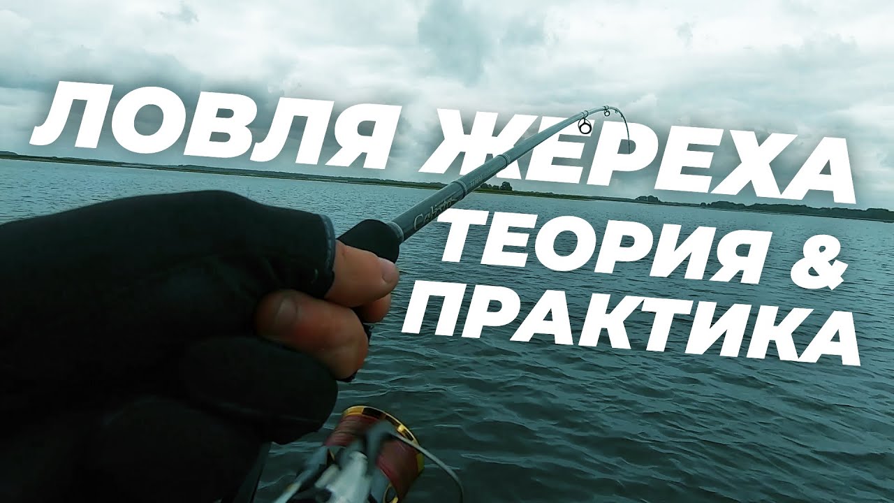 Ловля жереха, теория и практика + КОНКУРС