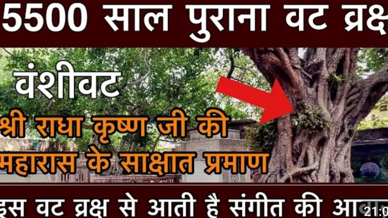 Vrindavan ISKCON BrajMandalparikrama 84cos Yatra ki Bansi Bhatt Darshan ?? #@sonalisahu157  2025