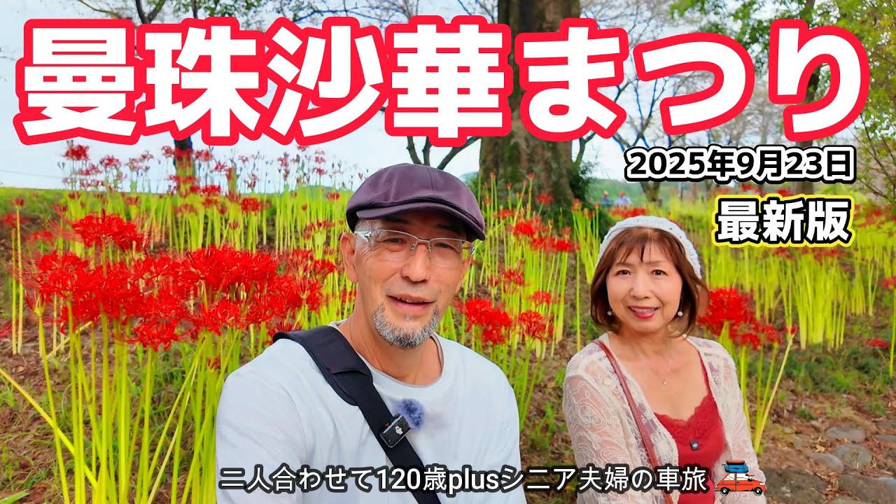 【巾着田】見頃を迎える日本最大級500万本の曼珠沙華群生地を巡る！