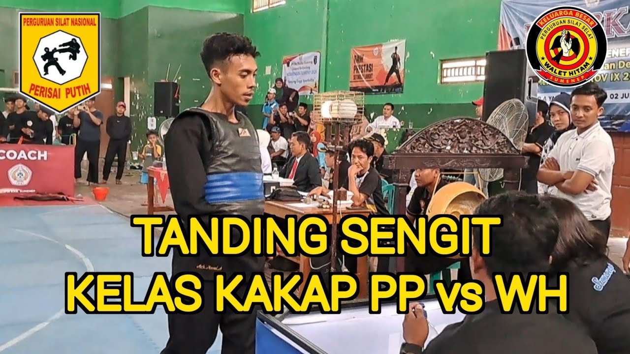 TANDING PERISAI PUTIH vs WALET HITAM - KEJURKAB IPSI SUMENEP 2024