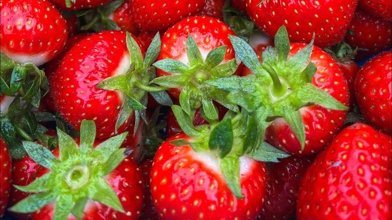 Первый сбор клубники 🍓