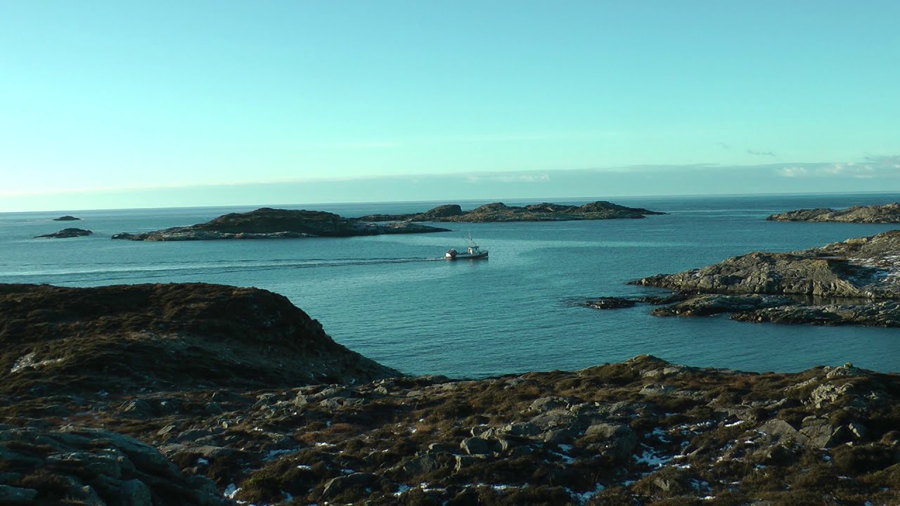 Reketr&aring;lar 15 01 2021