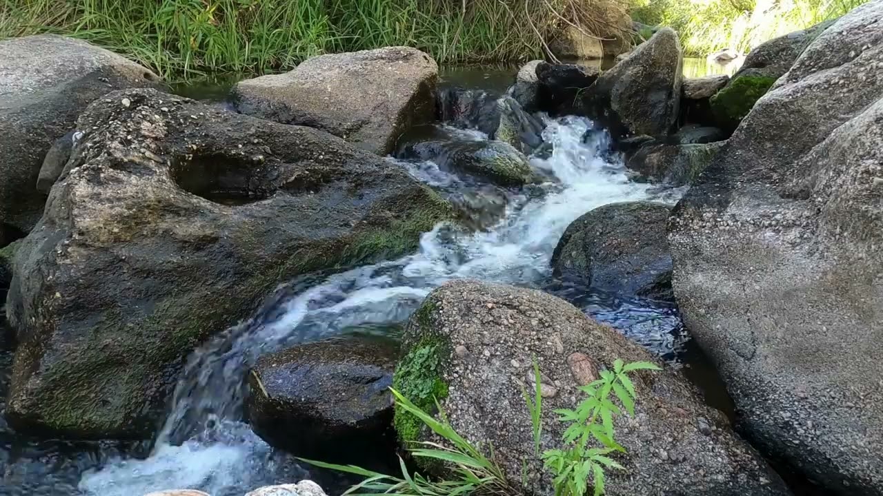 KOŞTUK SAKLANDIK YİNE YAKALANDIK