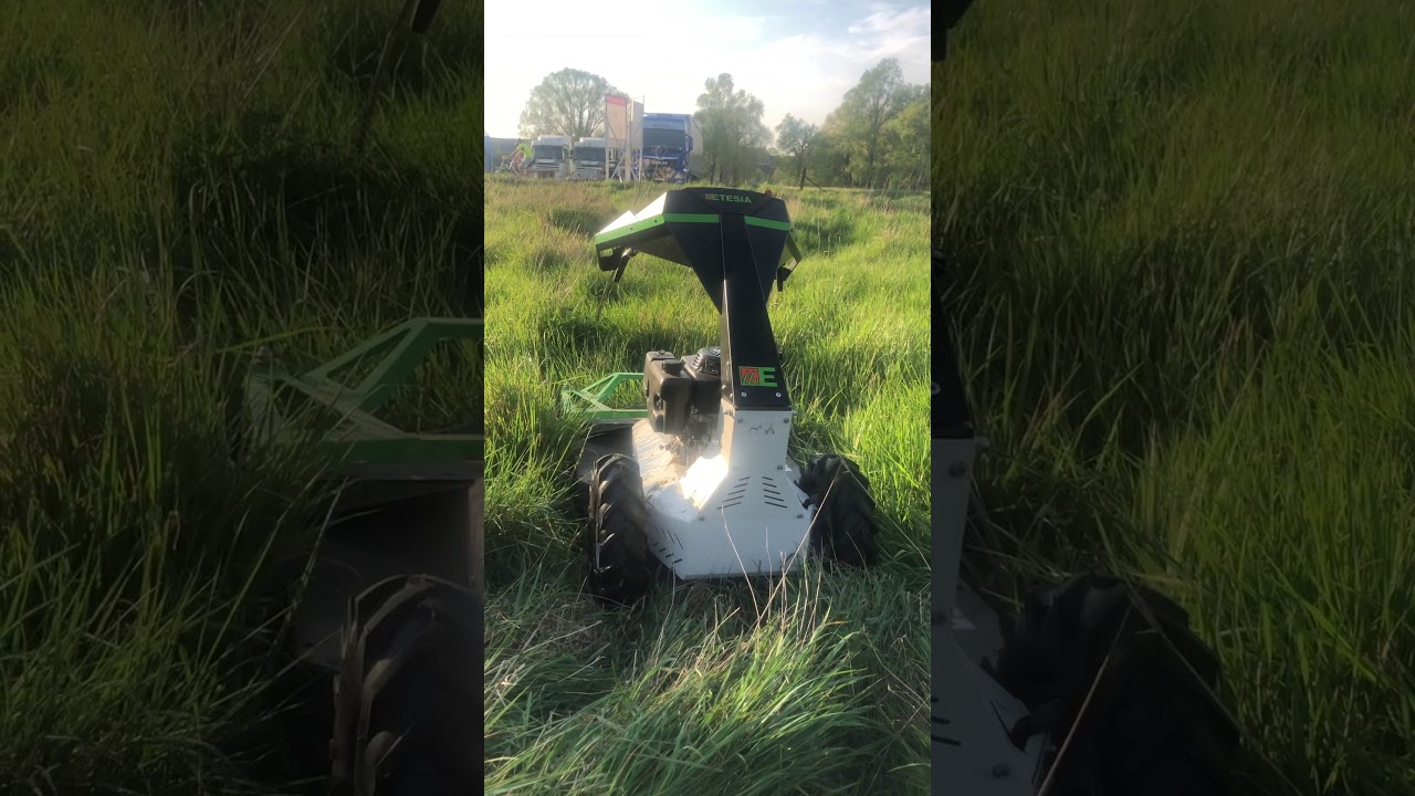 Etesia ruwterreinmaaier  AH75