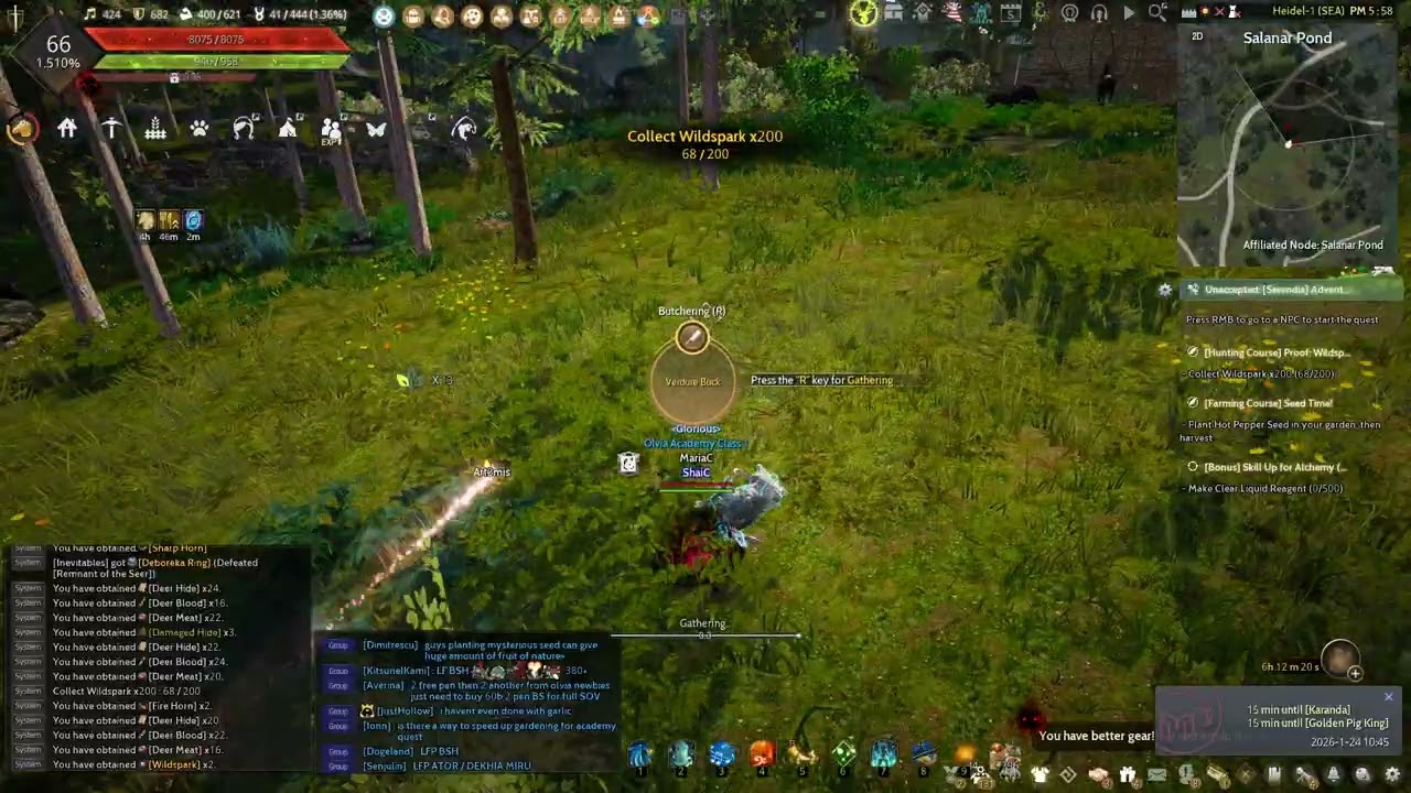 Hunting Guide: Olvia&rsquo;s Academy Training Course Part 6 (2026) | Black Desert Online