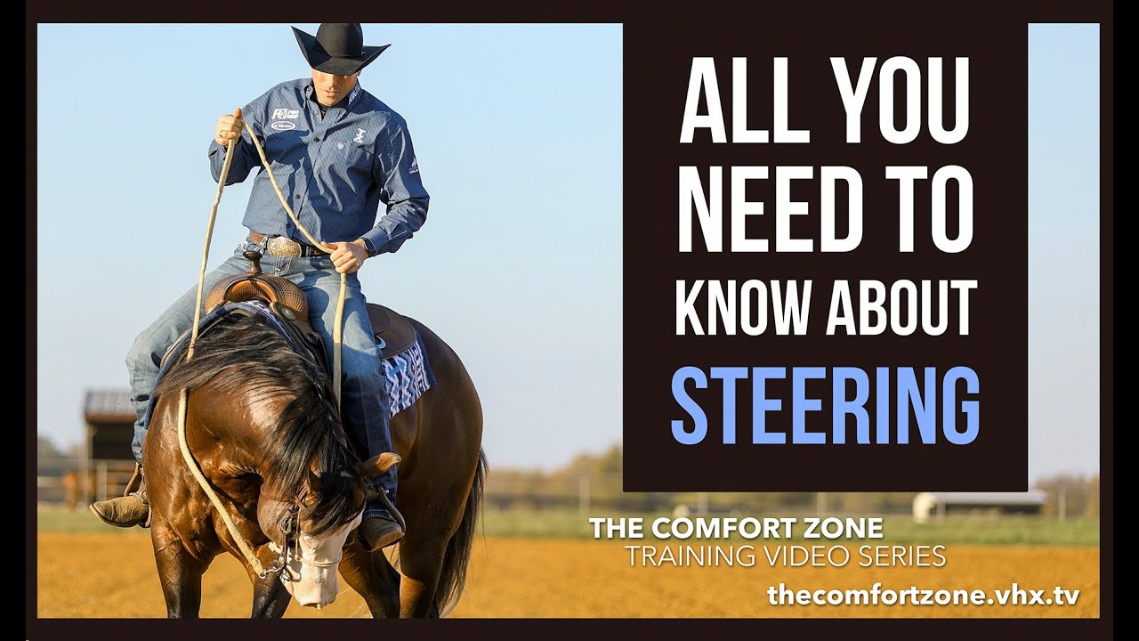 HOW I Teach Horses To STEER With Your Finger Tips