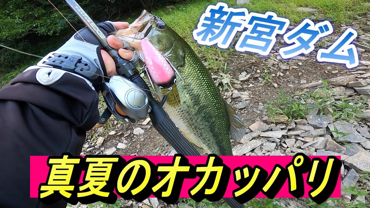 #24　新宮ダム　真夏のオカッパリ