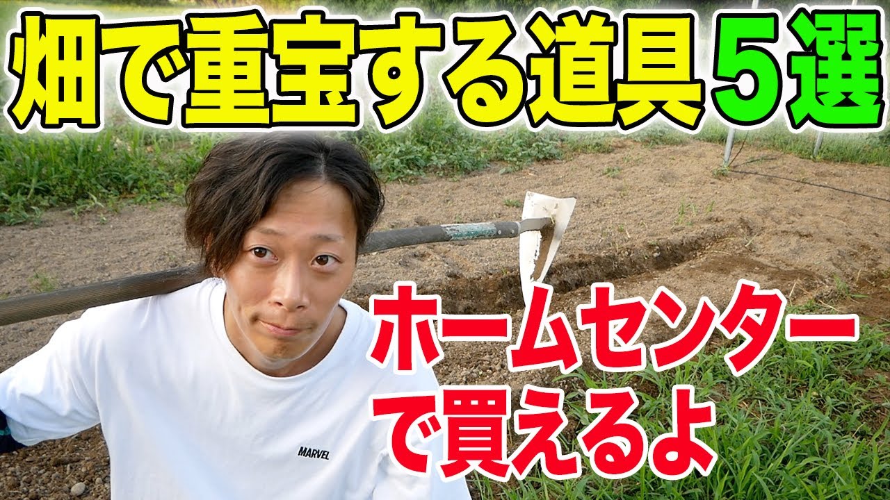 畑で重宝している道具５選　鈴木農園ver