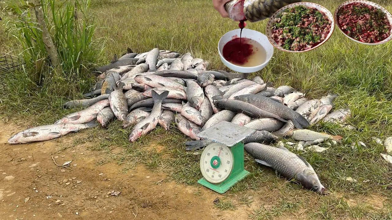 Siêu Phẩm Tiết Canh Cá, 14 Kg Cá Được 2 Bát Tiết Canh Đông Cứng - Nhịp Sống Tây Bắc