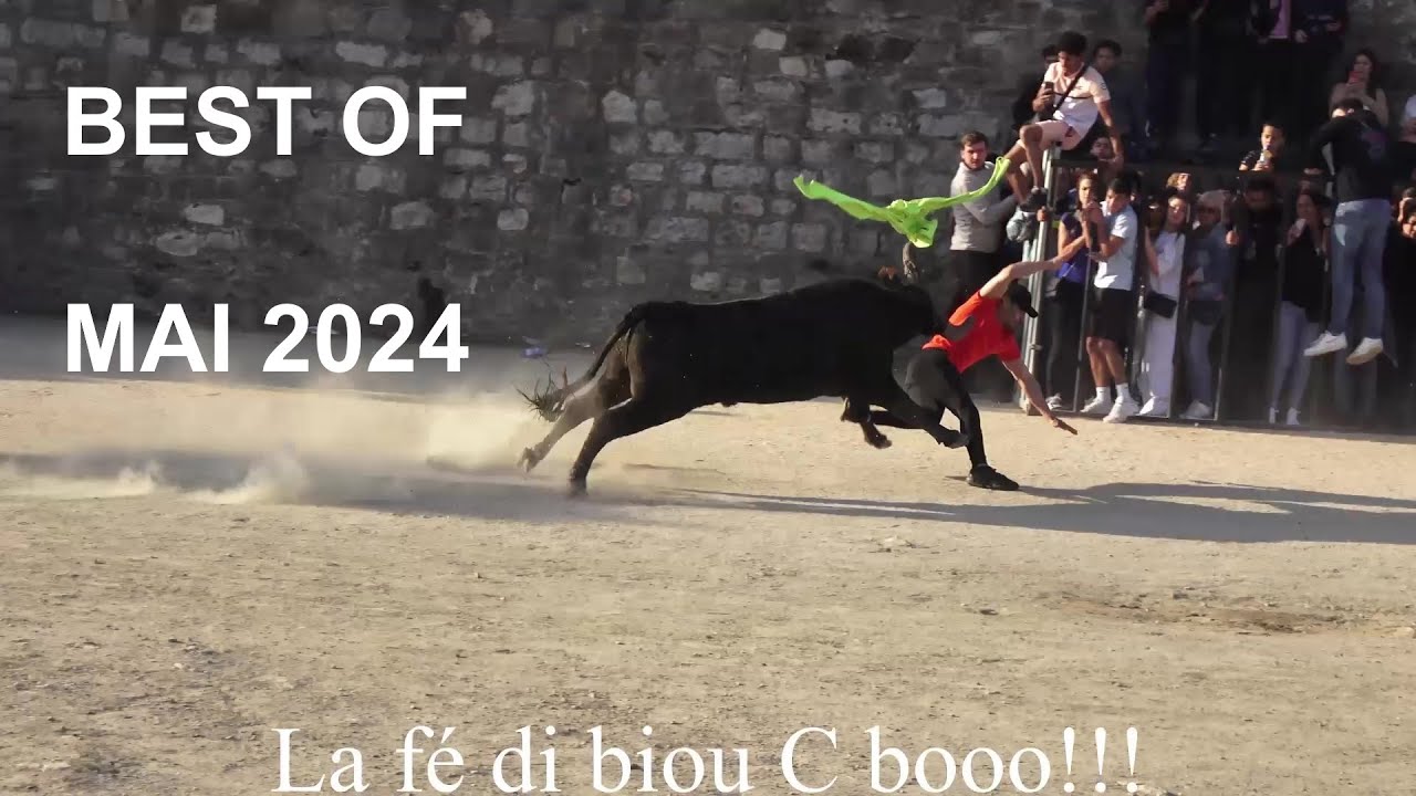 Best of moment - La fé di biou C booo!!! - Mai 2024.