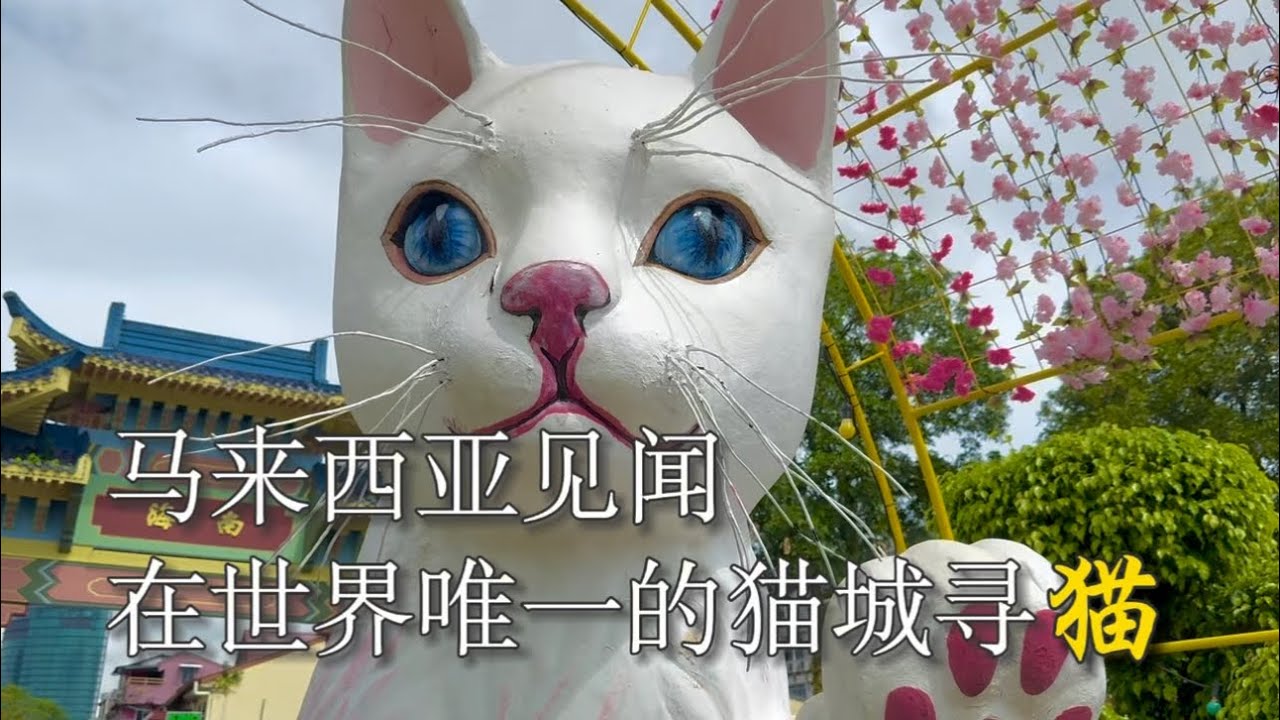马来西亚见闻：在世界唯一的猫城寻“猫” #马来西亚 #砂拉越 #古晋 #猫 