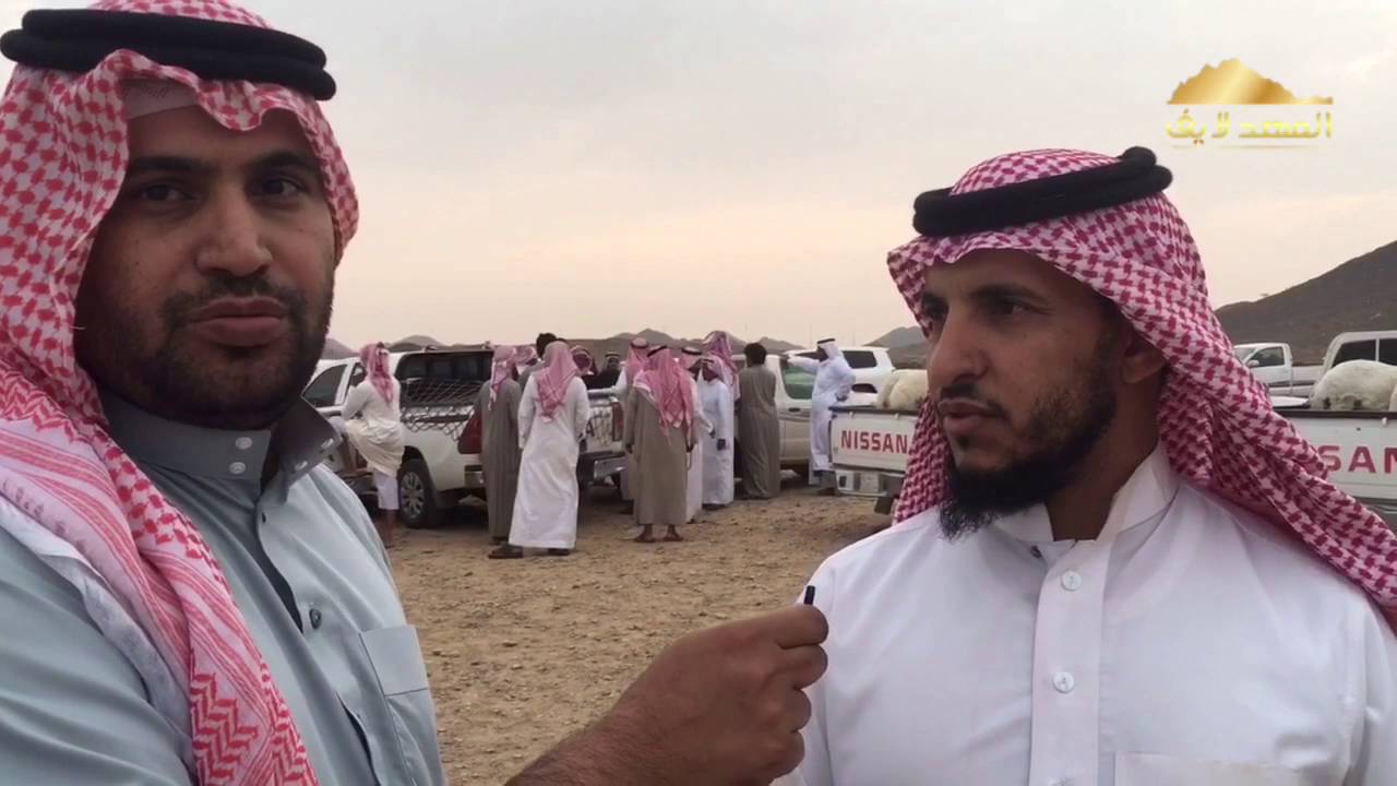 حراج الاغنام بالمهد
