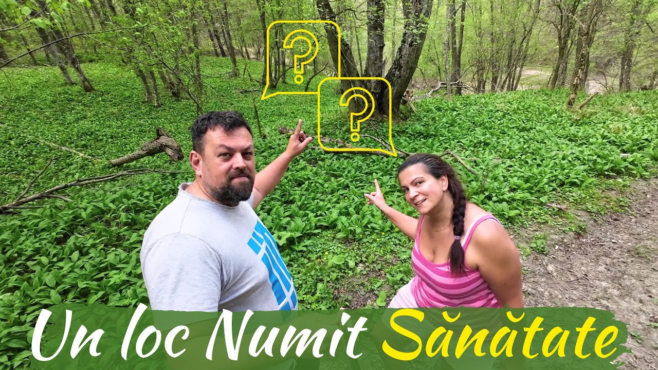 Viața la Țară - Mâncăruri Tradiționale Gătite Sănătos la Foc de Lemn sunt Secretul Gustului!