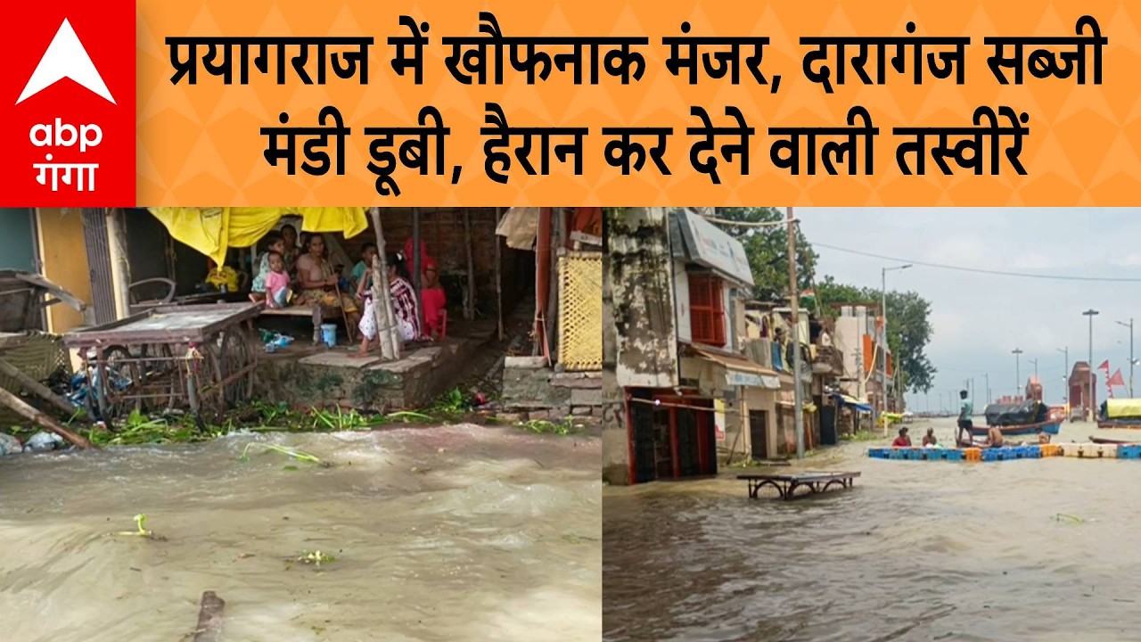 Prayagraj Flood: प्रयागराज में खौफनाक मंजर, दारागंज सब्जी मंडी डूबी, हैरान कर देने वाली तस्वीरें