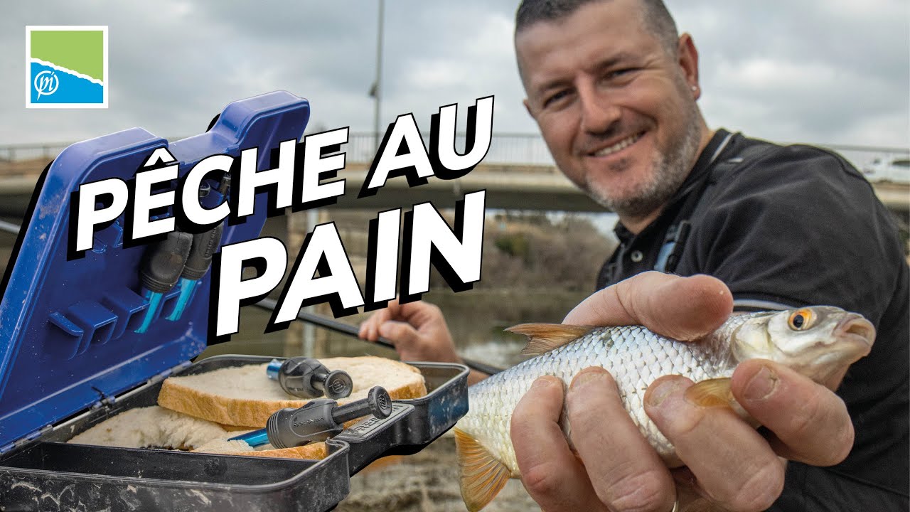 PÊCHE AU PAIN À LA CANNE | Cache-cache avec les carnassiers - Avec Franck