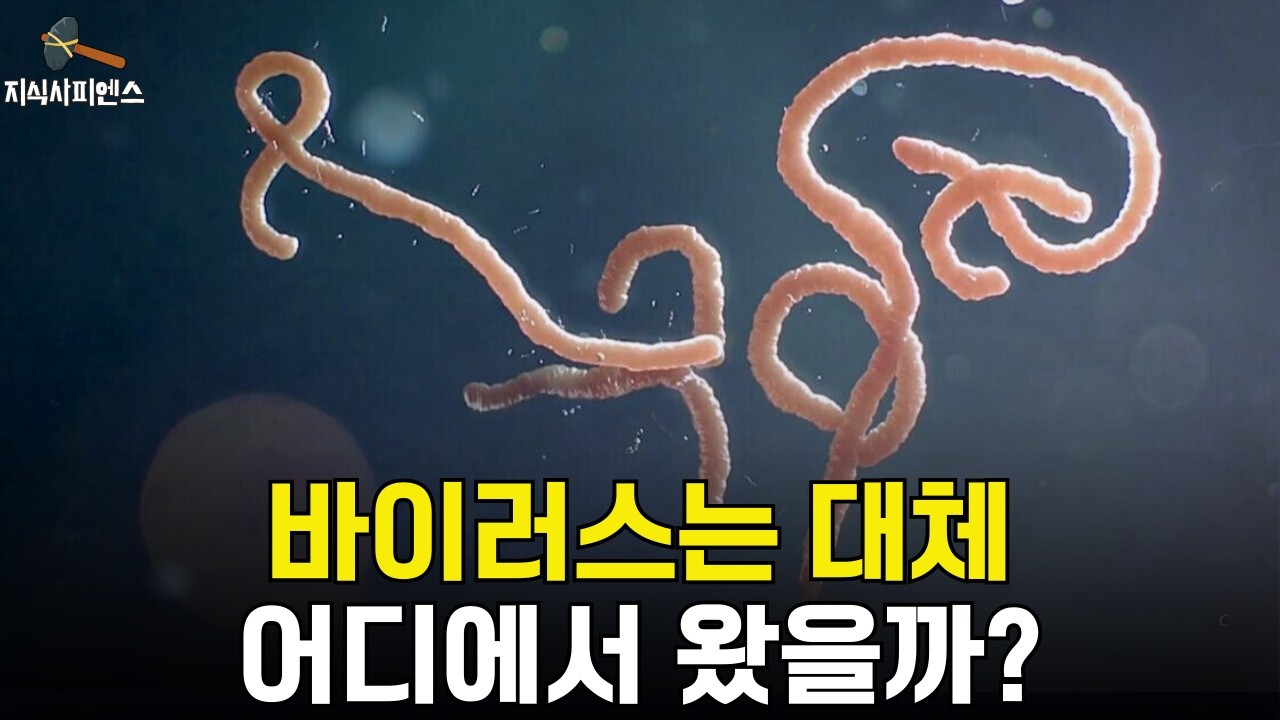 바이러스는 우주에서 온 외계물질일까? l 바이러스의 기원