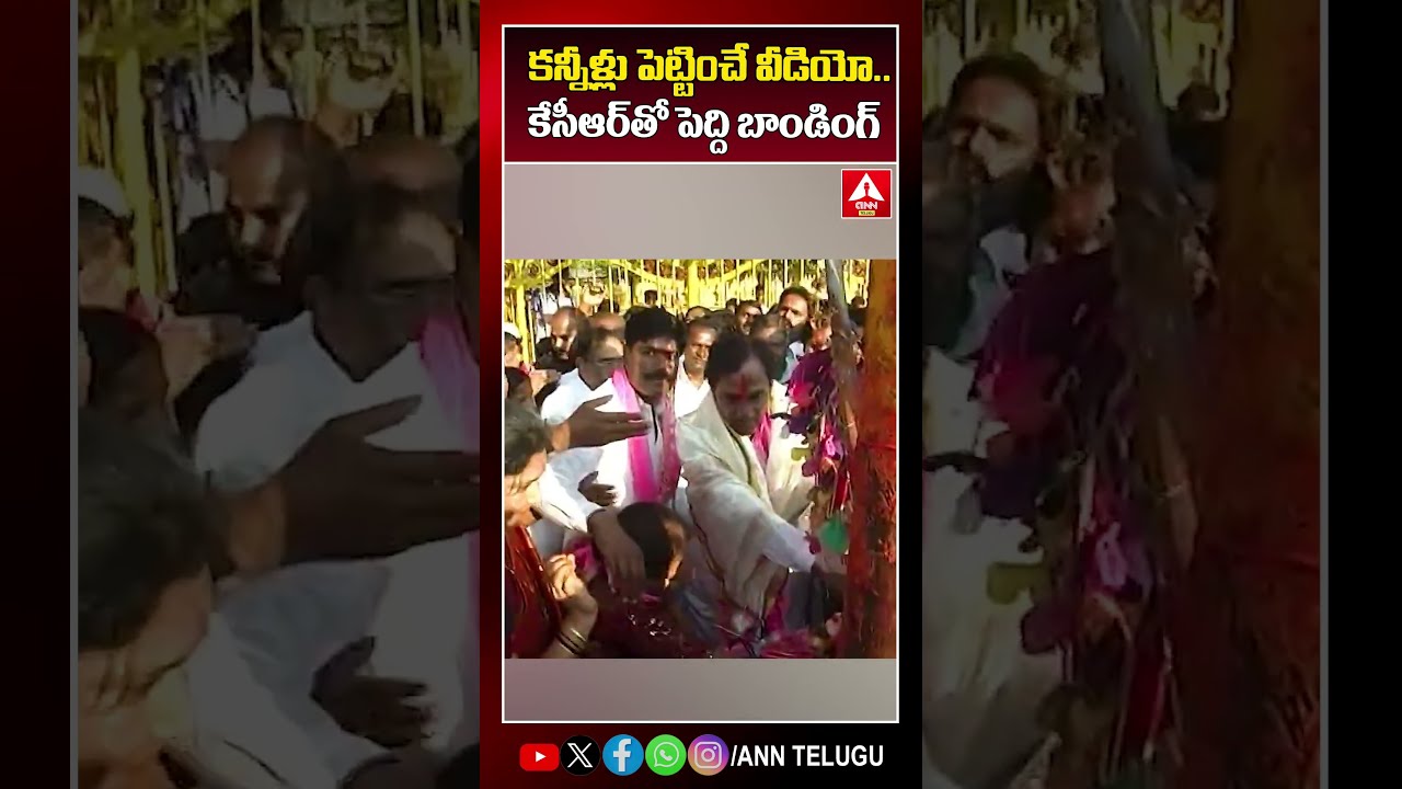 కన్నీళ్లు పెట్టించే వీడియో..కేసీఆర్ తో పెద్ది బాండింగ్ #kcr #brs #peddisudarshanreddy #viralvideo