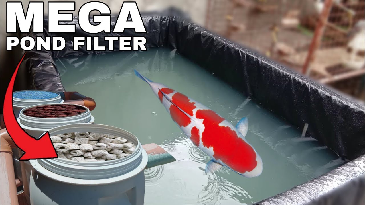 DIY MEGA POND FILTER for my NEW POND