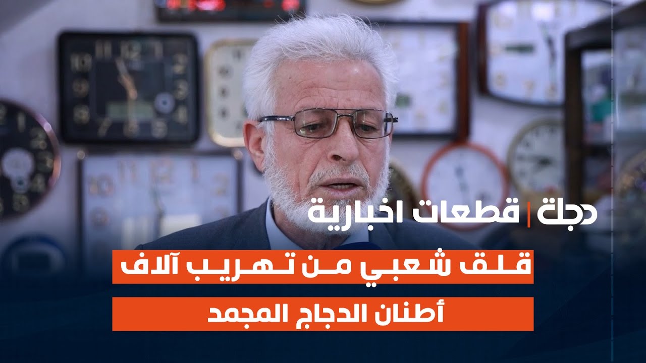 قلق شعبي من تهريب آلاف أطنان الدجاج المجمد ووصلوها للأسواق