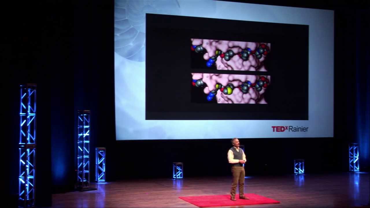 Re-educate the Immune System: Gerald T. Nepom at TEDxRainier