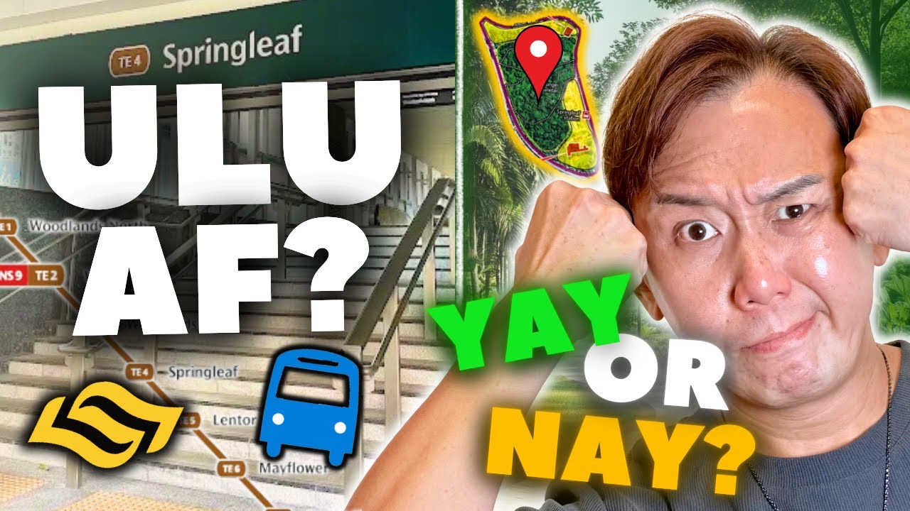 Springleaf Residence Review: Hidden Gem or Total Miss?